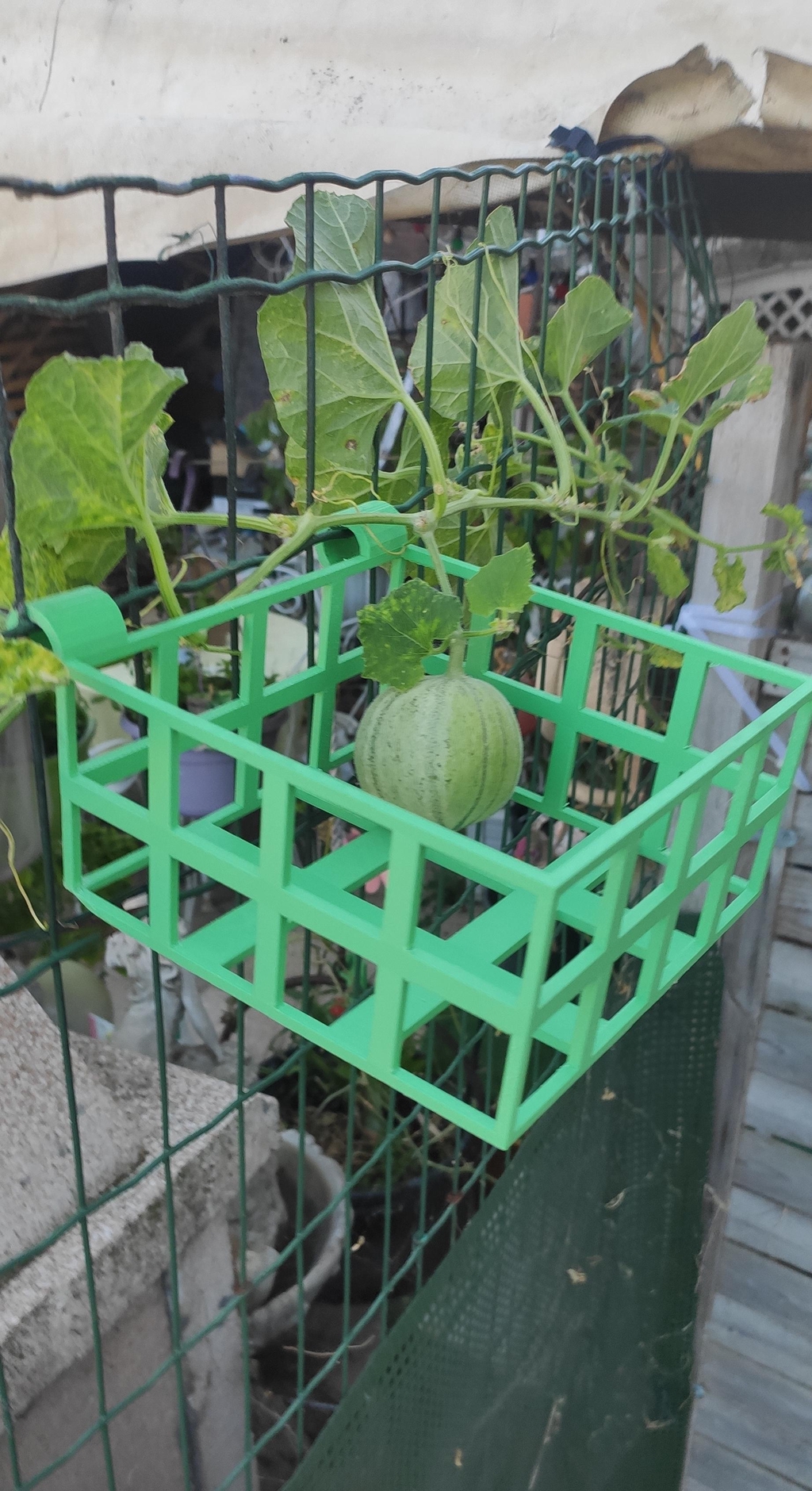 banner_image