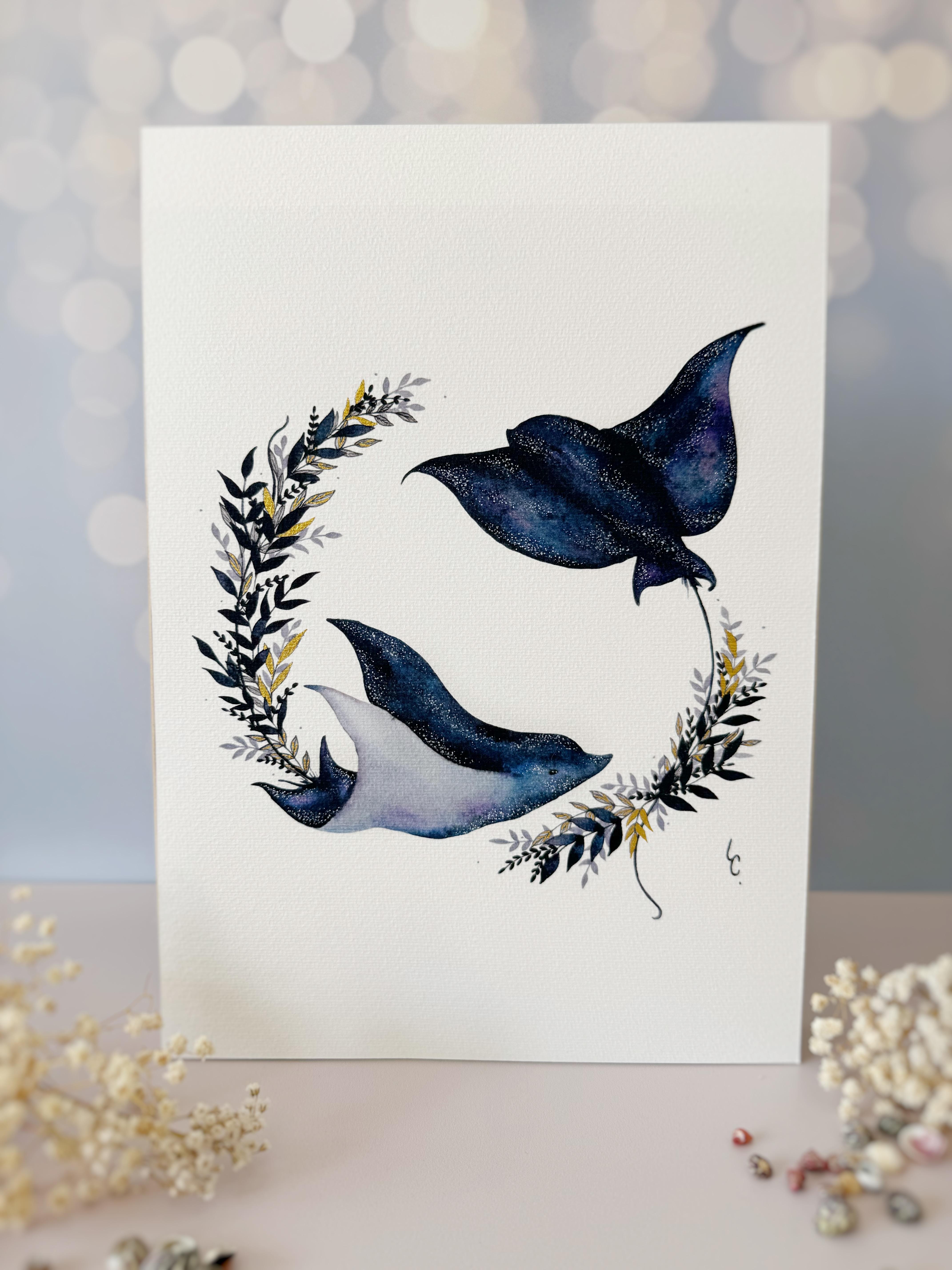 Illustrations