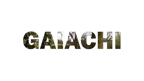 https://gaiachi.co.uk