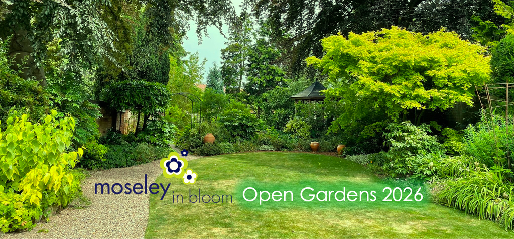 Moseley in Bloom Open Gardens