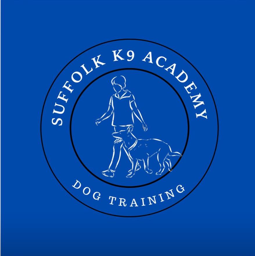 We offer:
Puppy classes - Build confidence and master the basics.  
Intermediate / Advanced training - Strengthen obedience and refine skills. Maintenance Workshops - Keep training fresh and fun.
Specialised Classes - Variety fun sessions.
Individual 121 support available on request 
