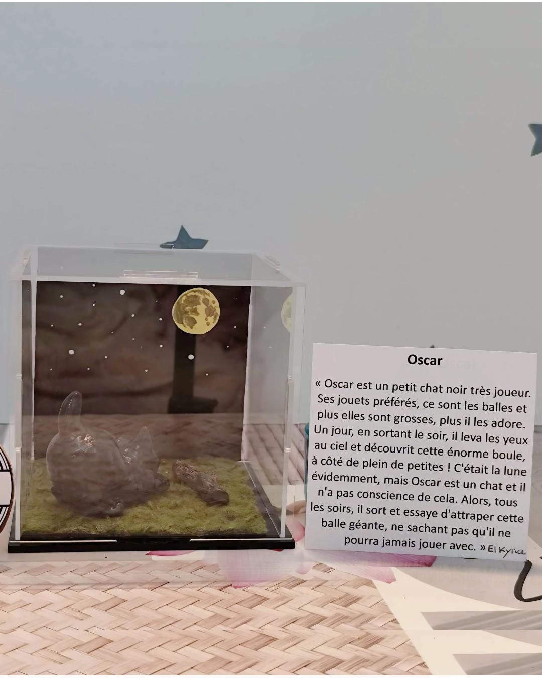 Vitrine création (édit limité)