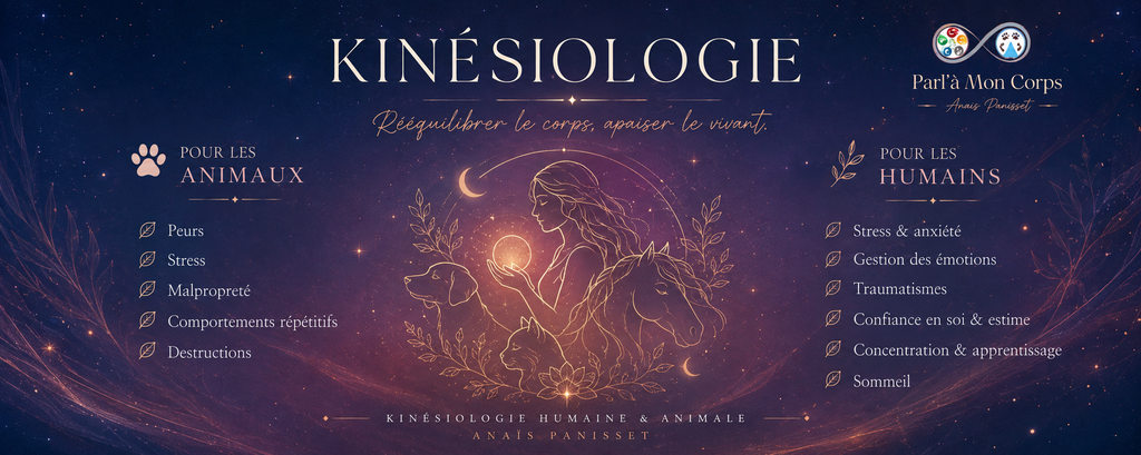 Kinésiologie animale et humaine