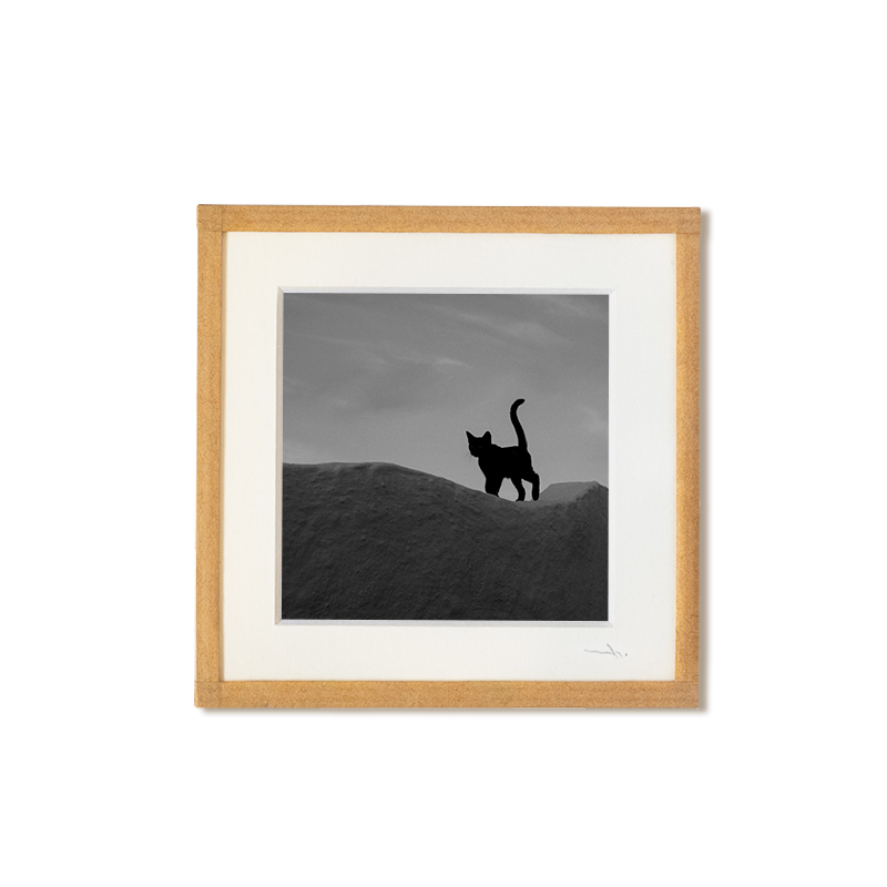 product_list_image_cover