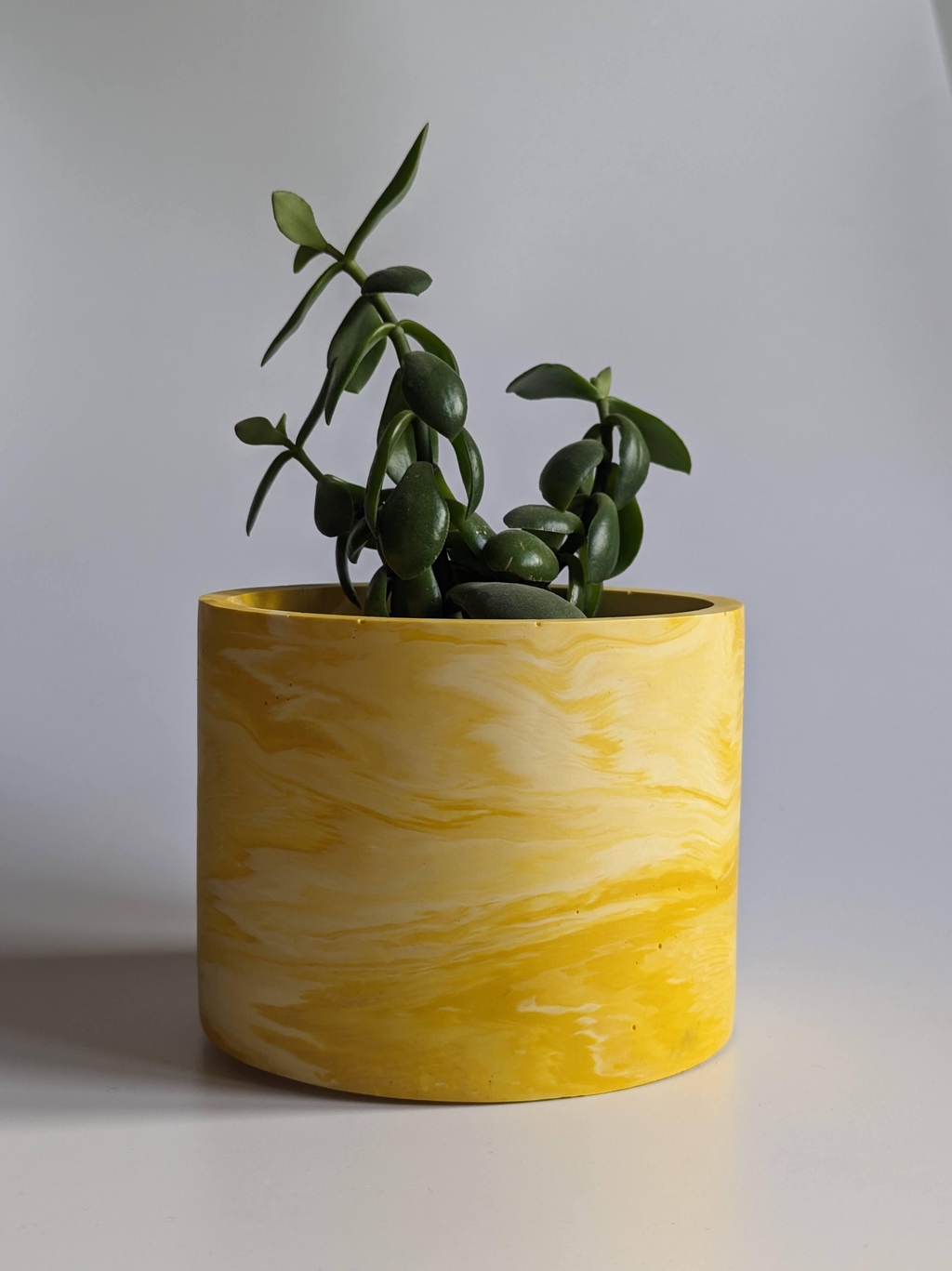 Yellow marbled plant pot with a succulent