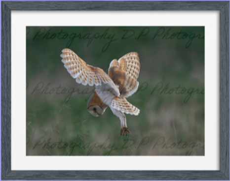 product_list_image_cover