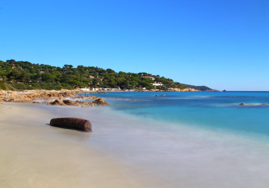 banner_image