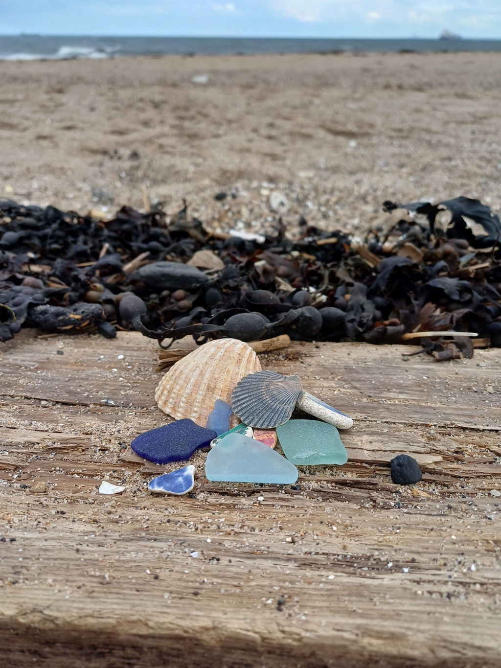 Ocean Inspired, Architecturally Trained