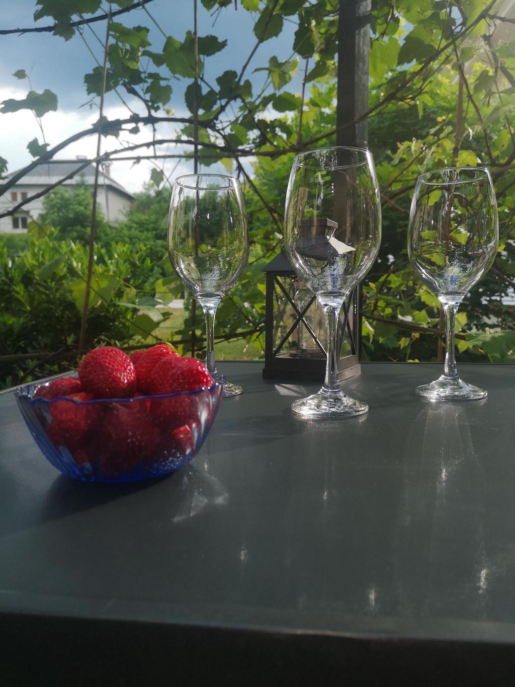 Izposoja kozarcev za razne dogodke