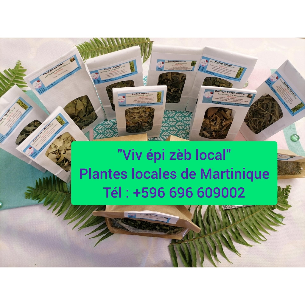  Tisanes et sirops de plantes locales de Martinique. 
