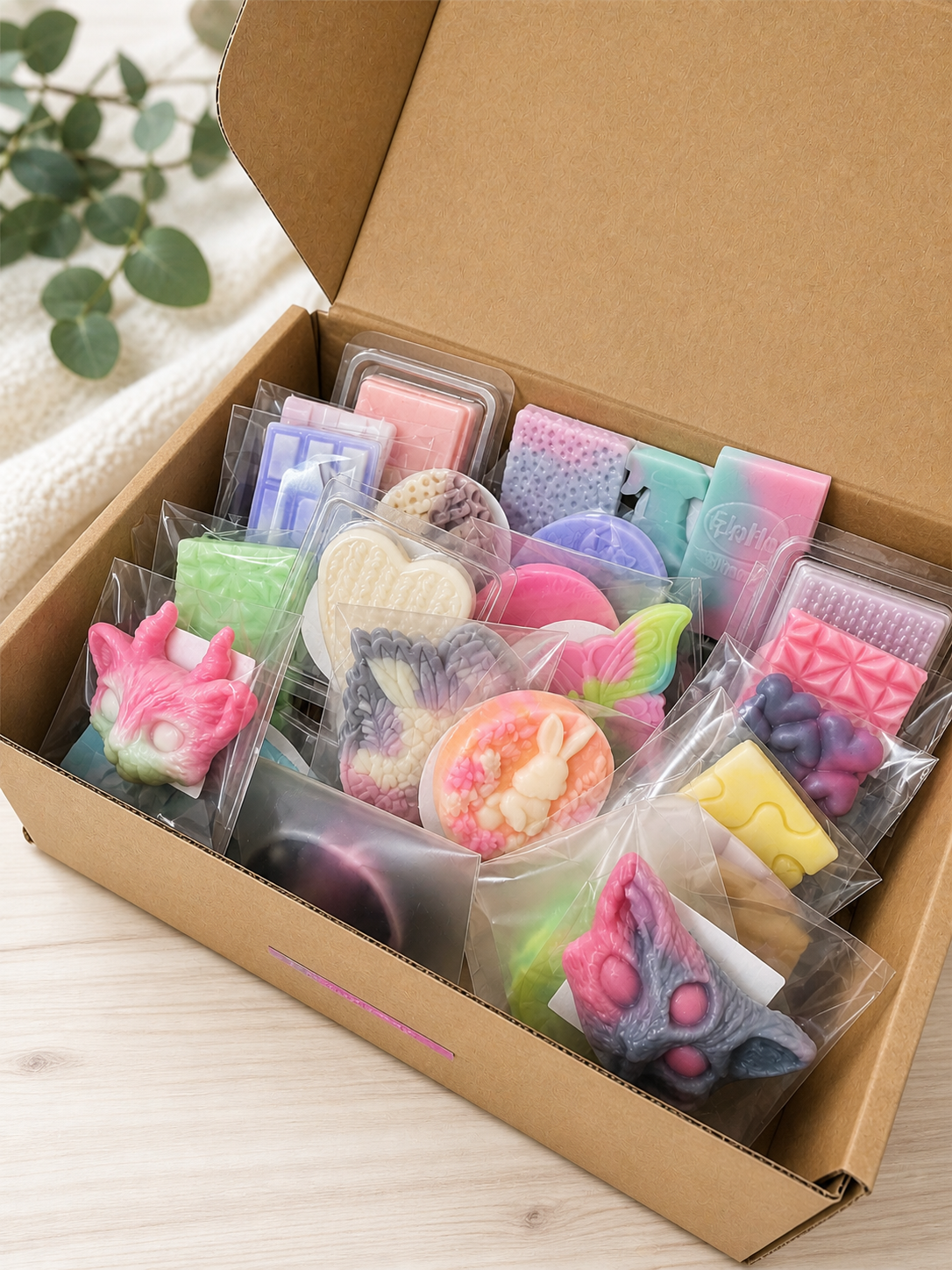 Discovery Box Bundles