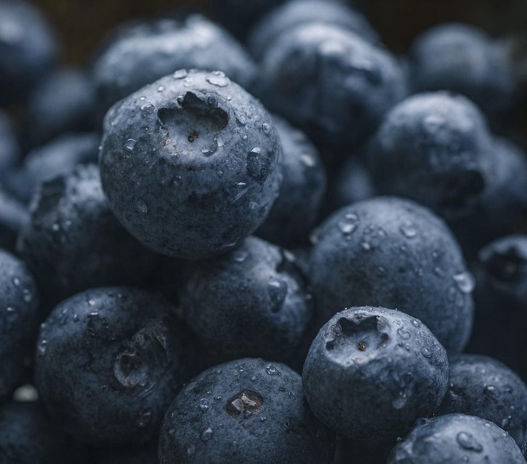 Heidelbeeren begrenzt verfügbar!