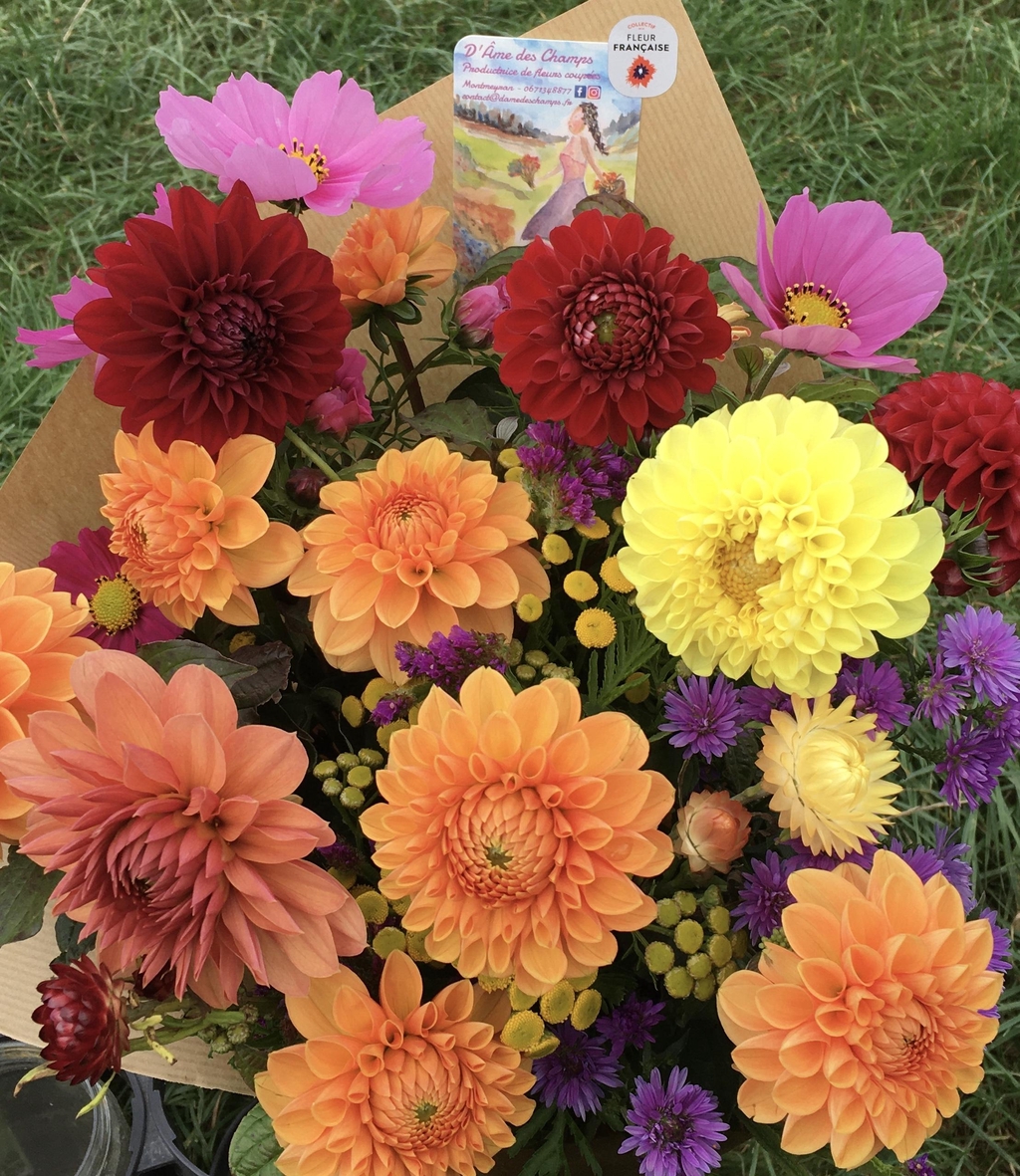 banner_image