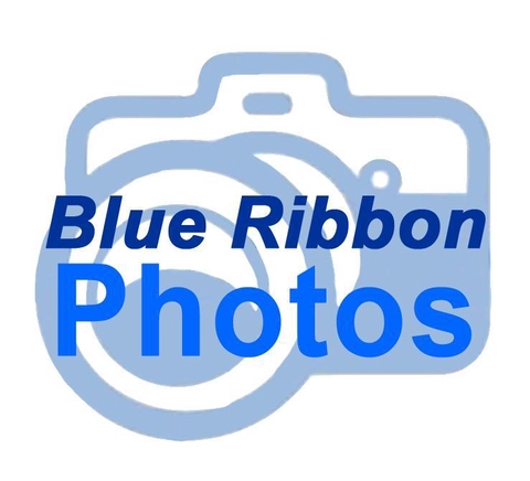 Blue Ribbon Photos, google-site-verification: google545cba6b4d337625.html