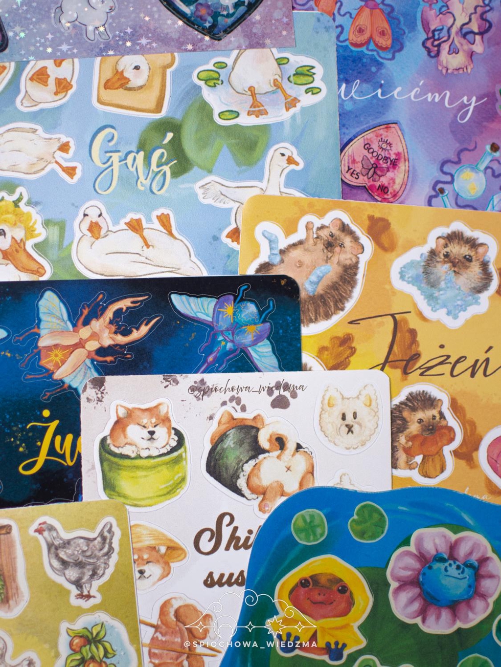 product_list_image_cover