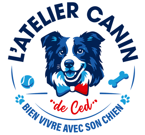Je vous propose des accessoires pour chiens faits mains: colliers, laisses et équipements de qualité pour le confort et la sécurité de votre compagnon.
