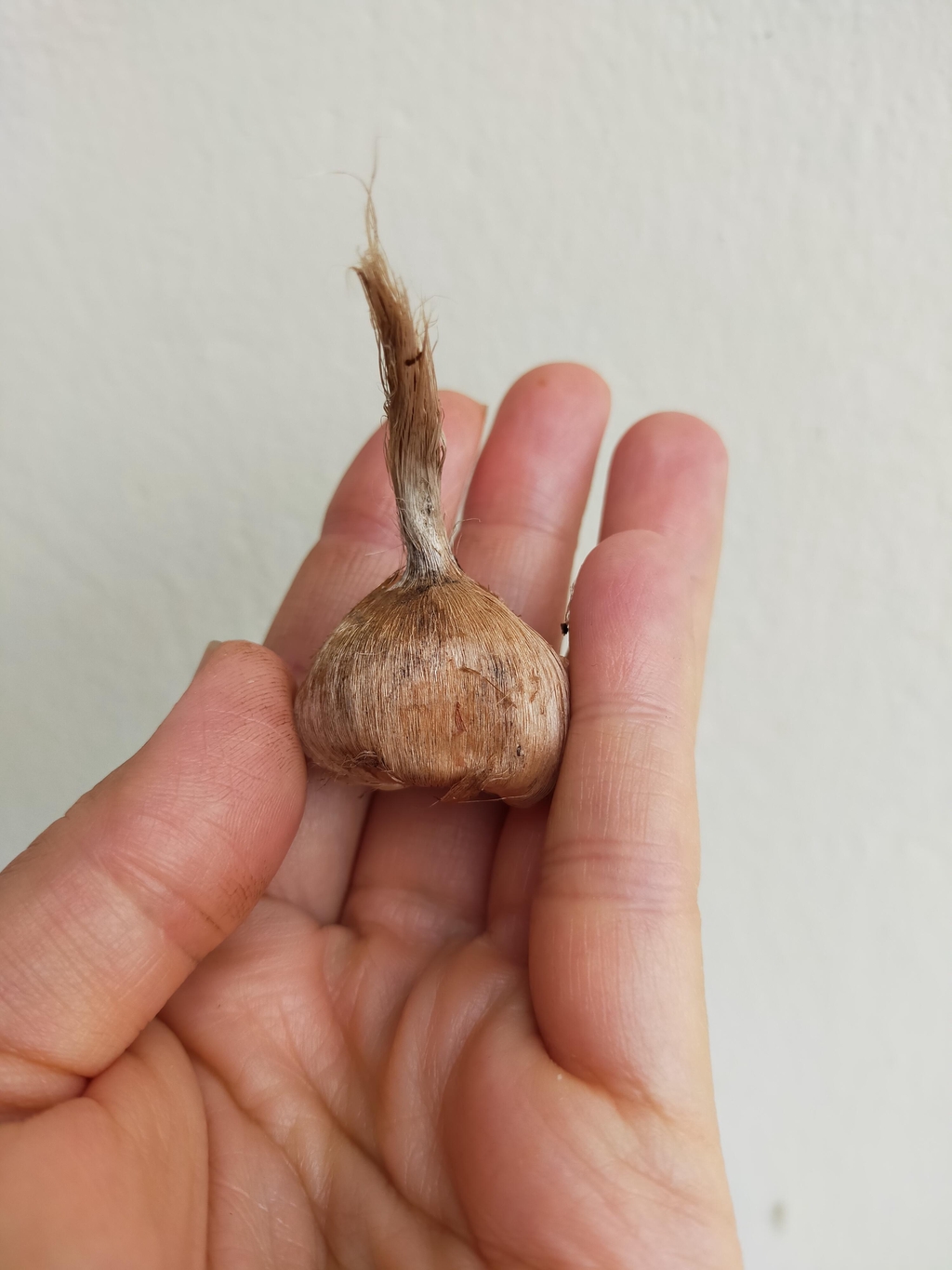 banner_image