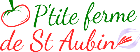 store_logo
