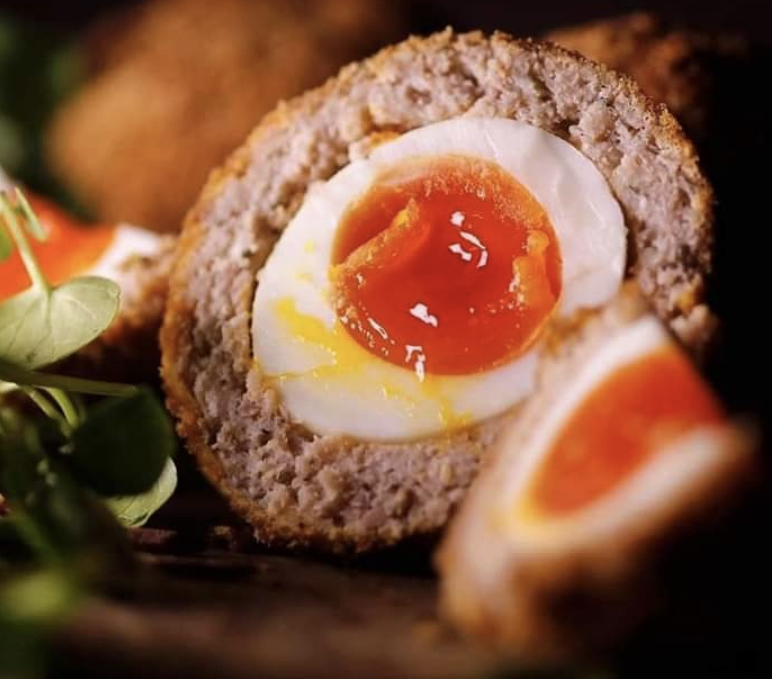 Hand Selected Fine Fodder 