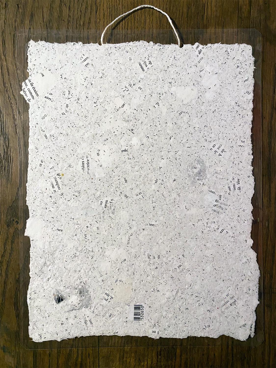 1999-24 Collection RECYCL