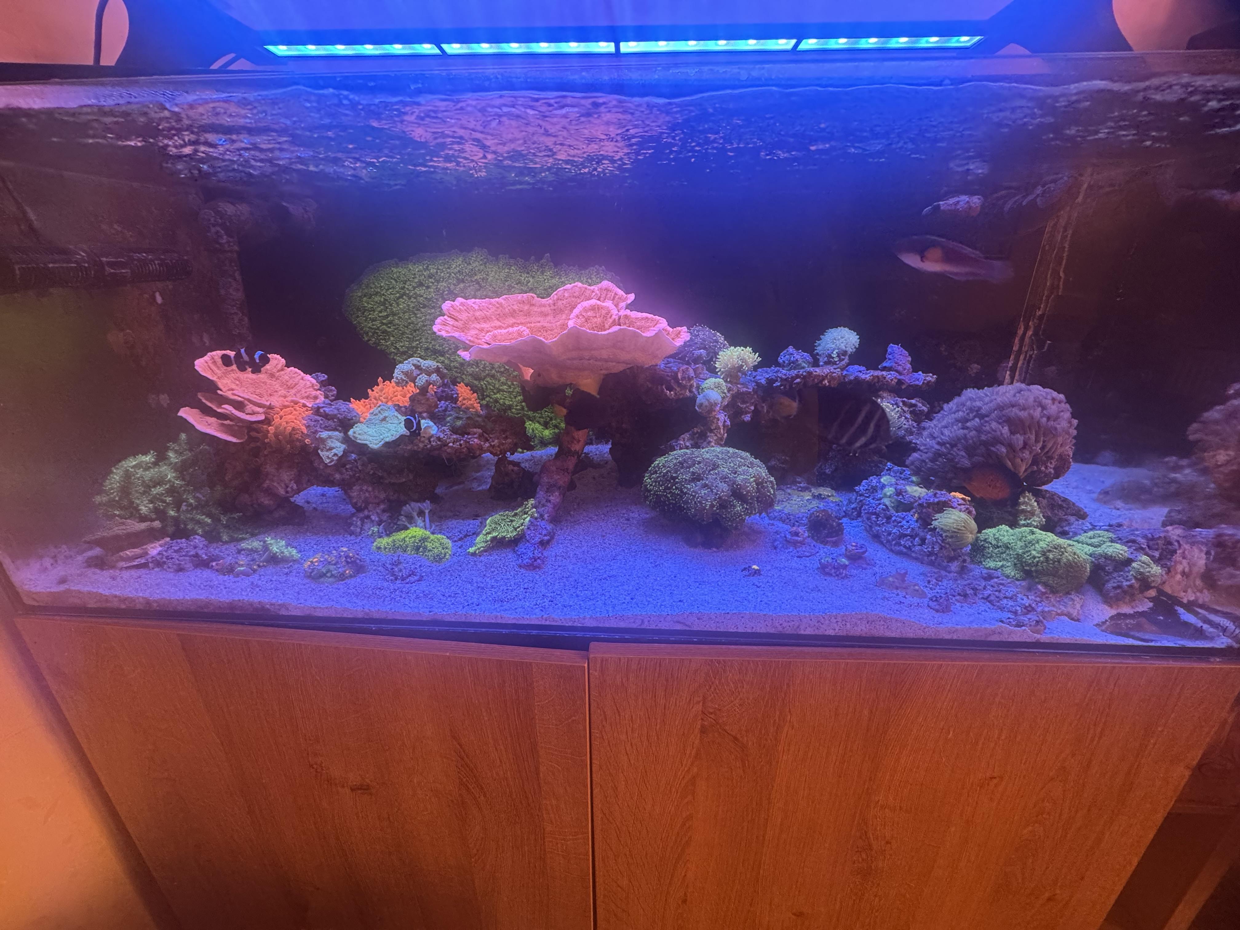 Marine prints