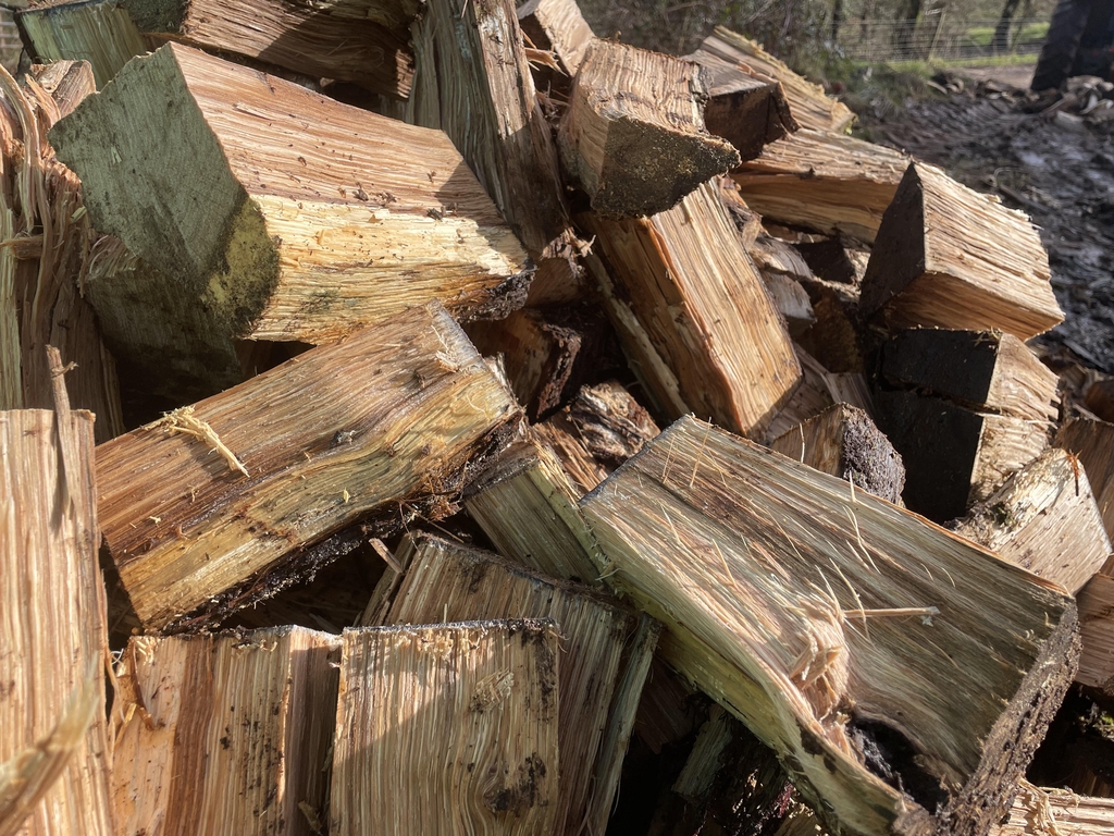 A tidy stack of fall trees. Cornish Firebox