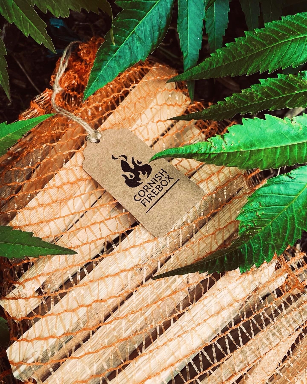 banner_image
