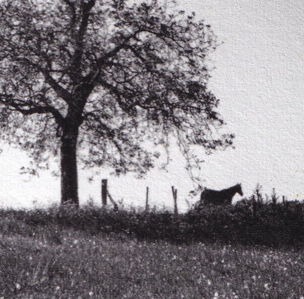photographie papier japonais Awagami Bamboo