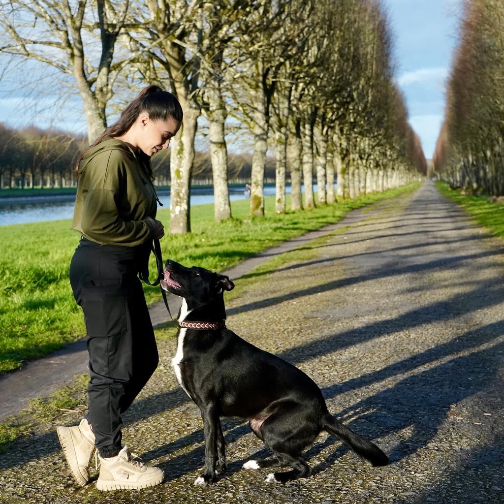 Je m’appelle Marion Sahuquet et je suis éducatrice canine comportementaliste.