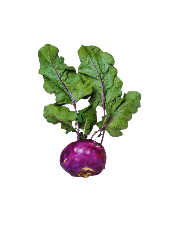 betalbel