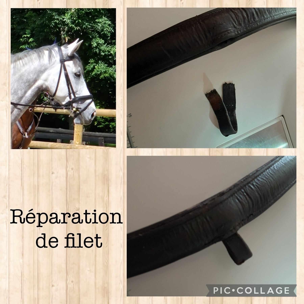 Quand veille de concours Funambule casse son filet 😞
Après quelques point le voici prêt pour demain !