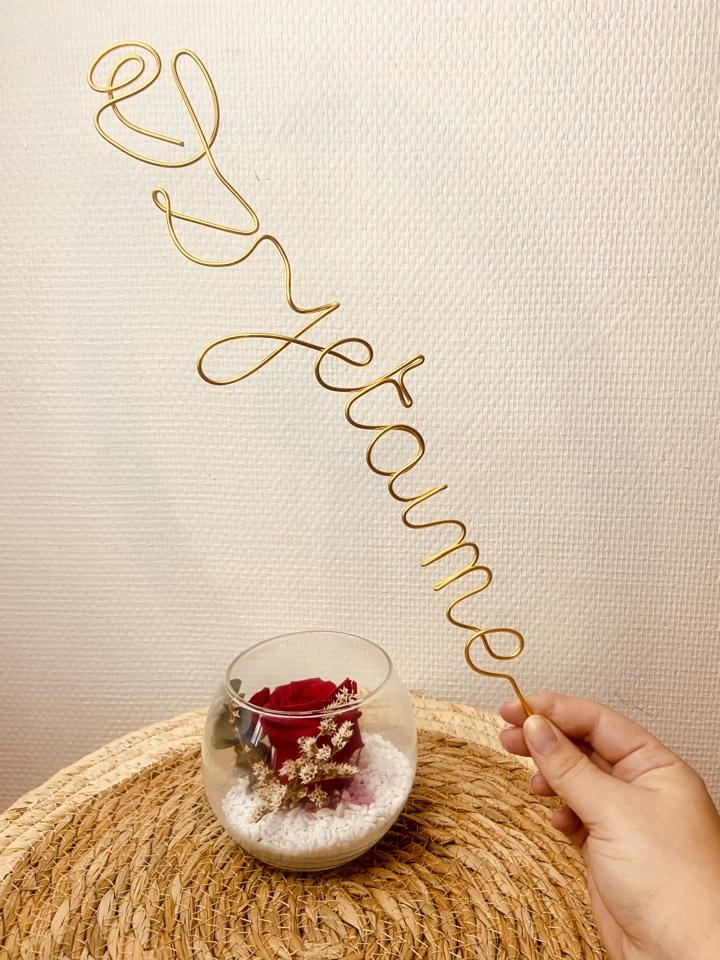 product_list_image_cover