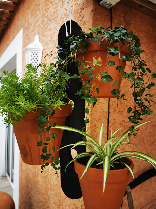 Ajoutez une touche de nature à votre quotidien