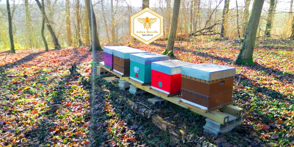 Apiculteur Récoltant et Eleveur