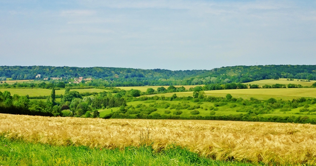 @Crédit photo Marie Martinez