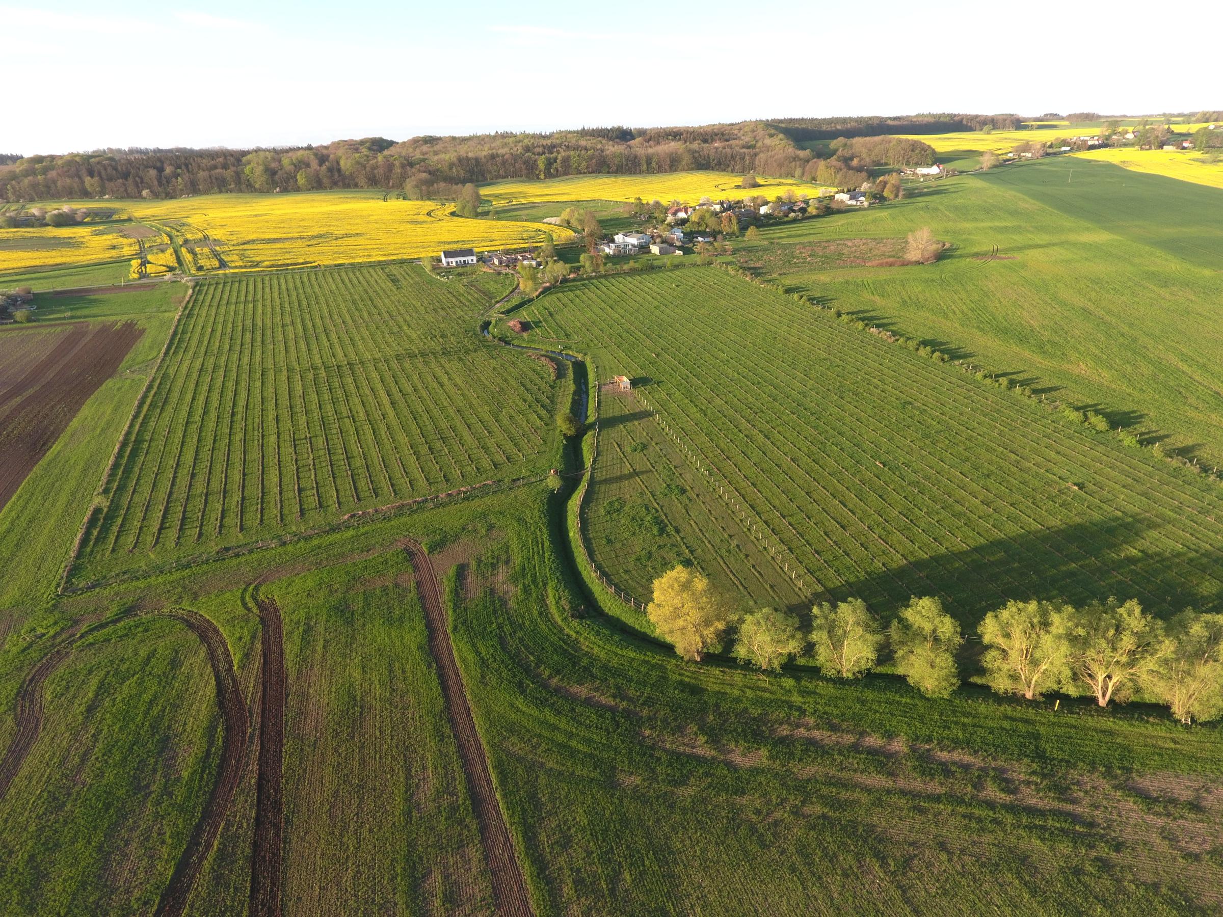 Section image