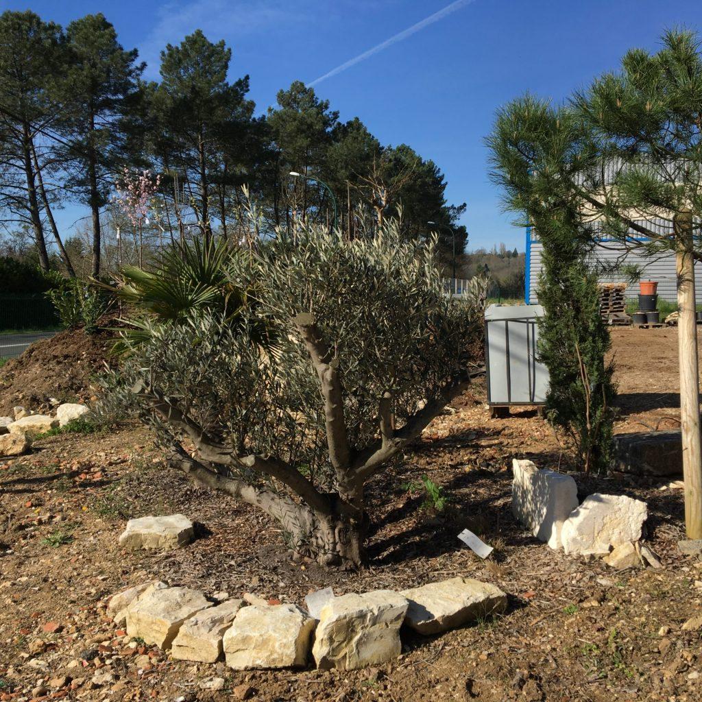 2R de jardin, la boutique en ligne