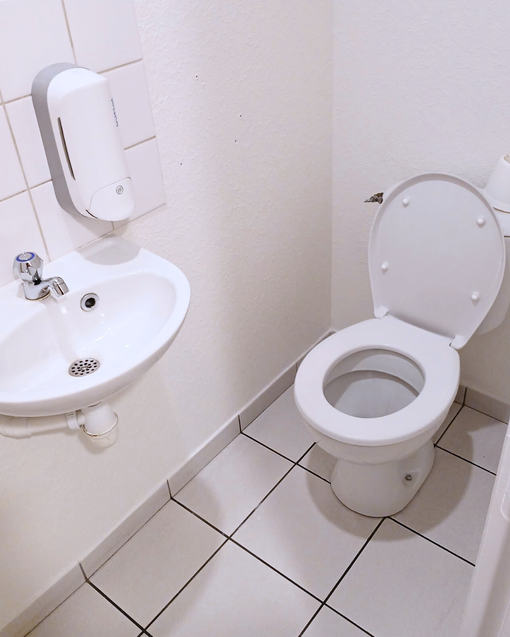 🔹 Nettoyage et hygiène des sanitaires