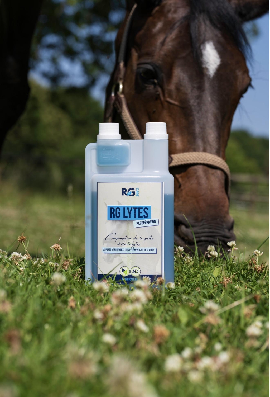 Douleurs articulaires, musculaires, irritations? Découvrez nos soins équins à base d'huiles essentielles, fabriqués en Belgique. Commandez dès maintenant !