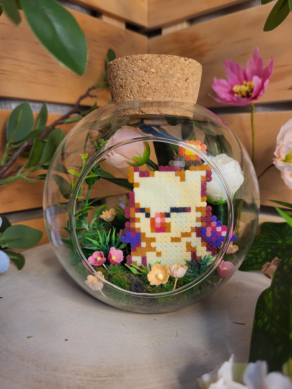 Le mog fait la sieste, attention à ne pas le réveiller !