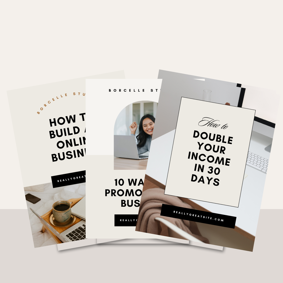 PLR & MRR Bundles