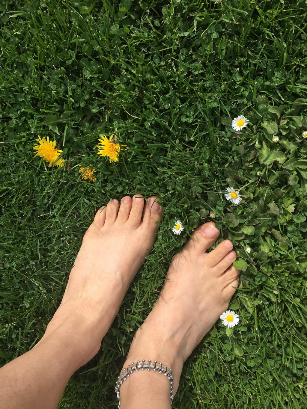 Yoga Sessions, Yoga Therapy, and Supervision