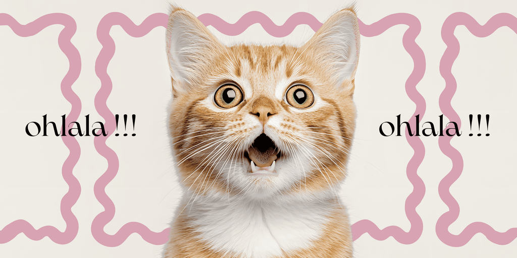 bannière avec chat choqué ohlala