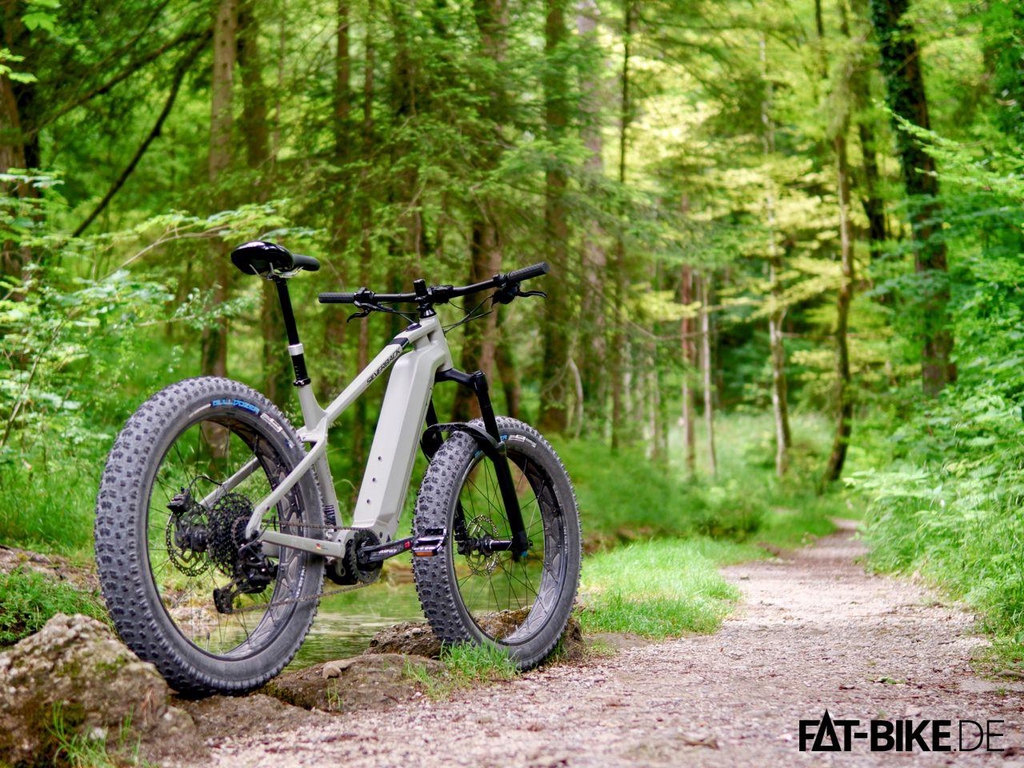 Bikes for Professional