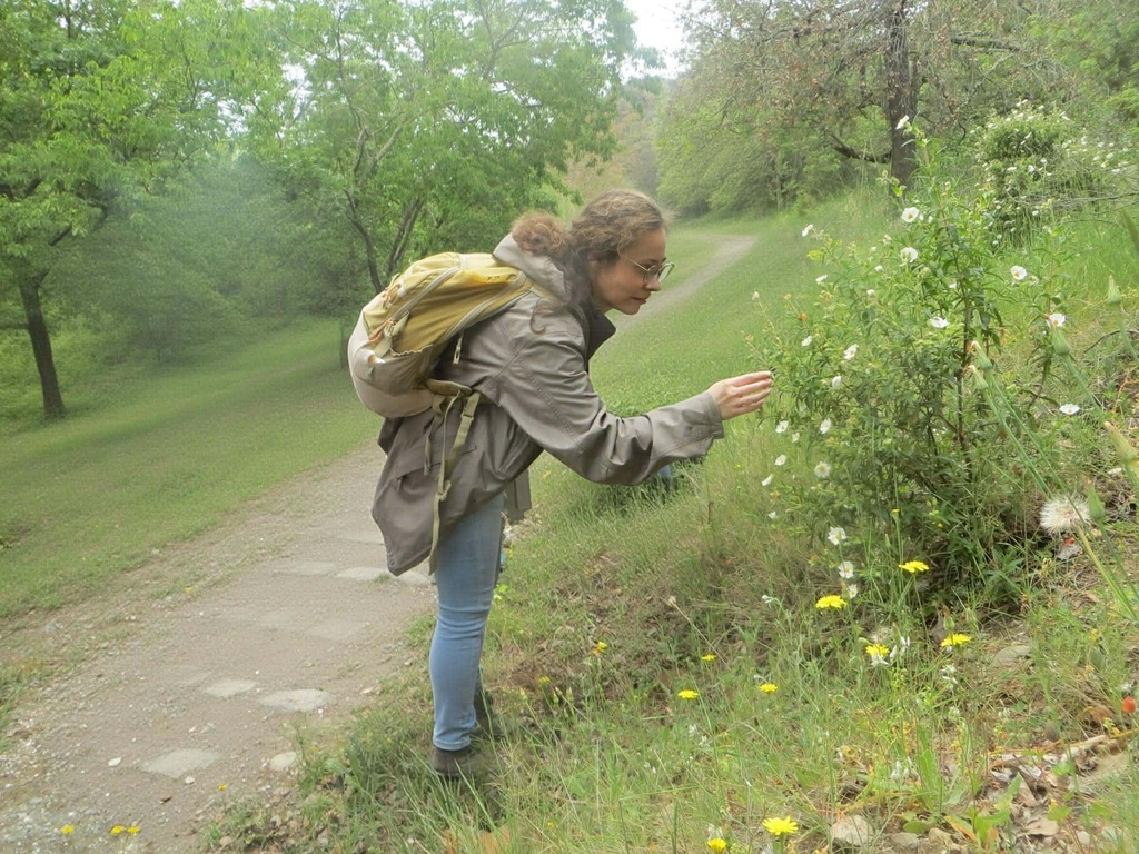 Moi en train de cueillir une plante.