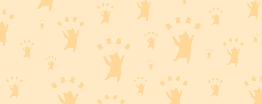 Bienvenue chez Anima Cards