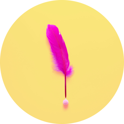 Plume rose logo Aurélie PENEY