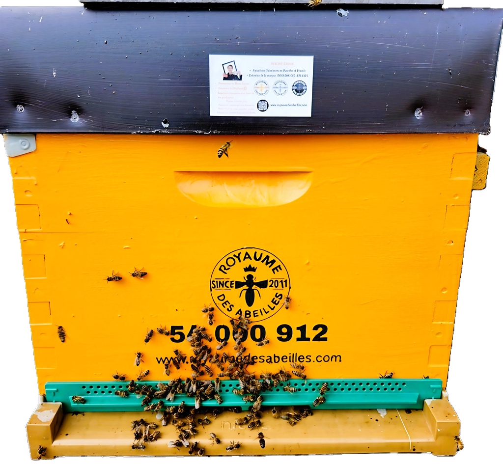 Ruche ROYAUME DES ABEILLES