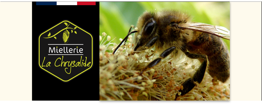 Miels bio, Pâte à tartiner, Nougat bio, miel français, Apiculteur en Loire Atlantique 44, vrai miel, miel rare français, miel de qualité