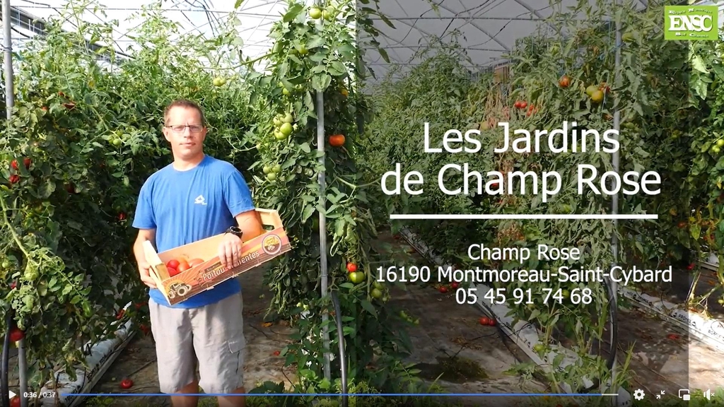 LES JARDINS DE CHAMP ROSE